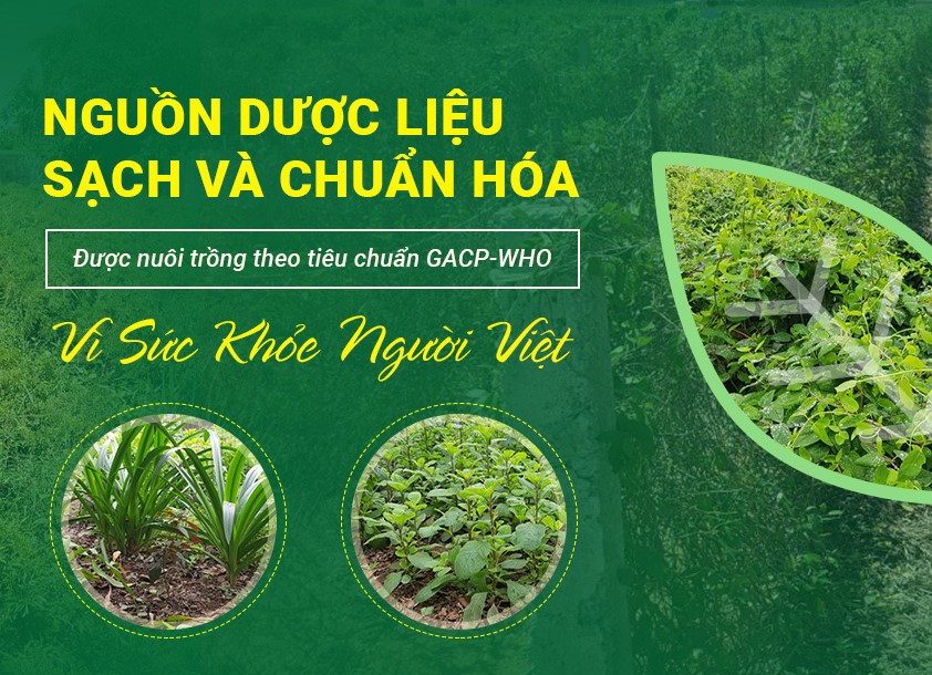 Thu mua bao tiêu nông sản sạch